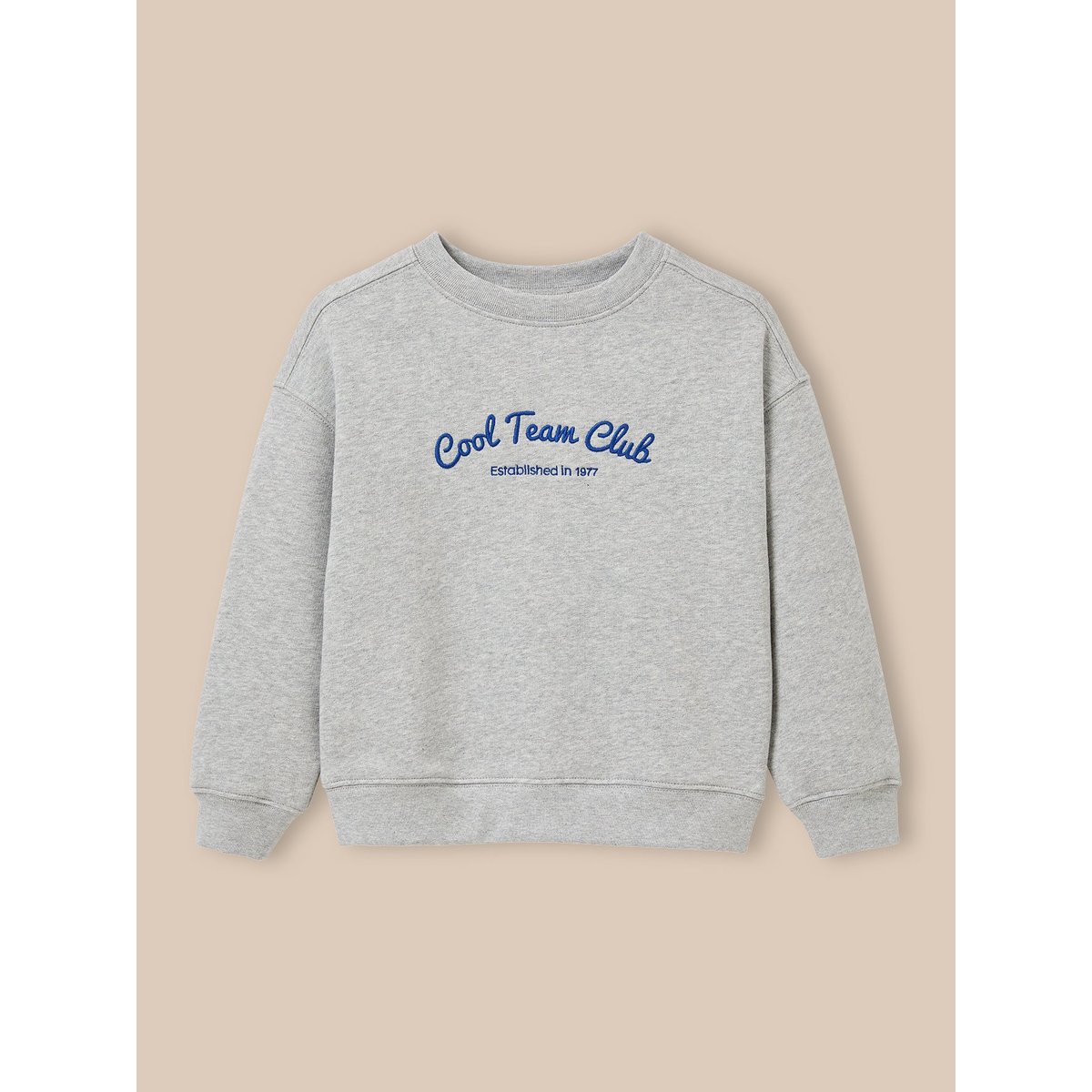Sweat brodé - Collection JUNIOR gris chine, CYRILLUS