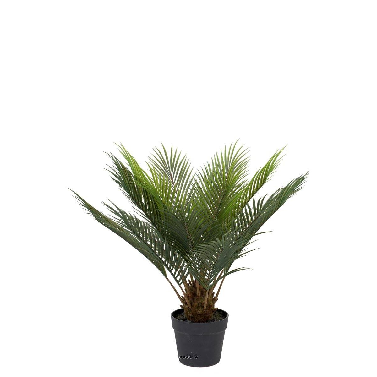 Palmier Cycas artificiel en pot, H 60 cm vert, ARTIFICIELLES