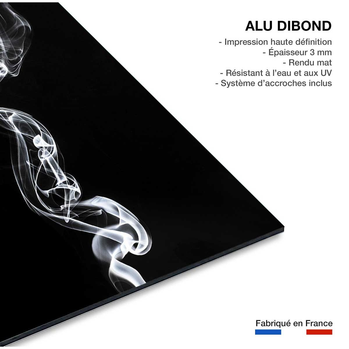 Tableau  white smoke medusa tableau alu dibond, HEXOA
