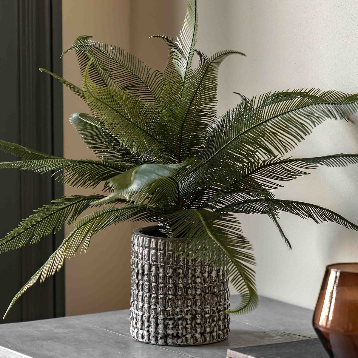 Wide Fern in Concrete Pot grey, ÉDITÉ