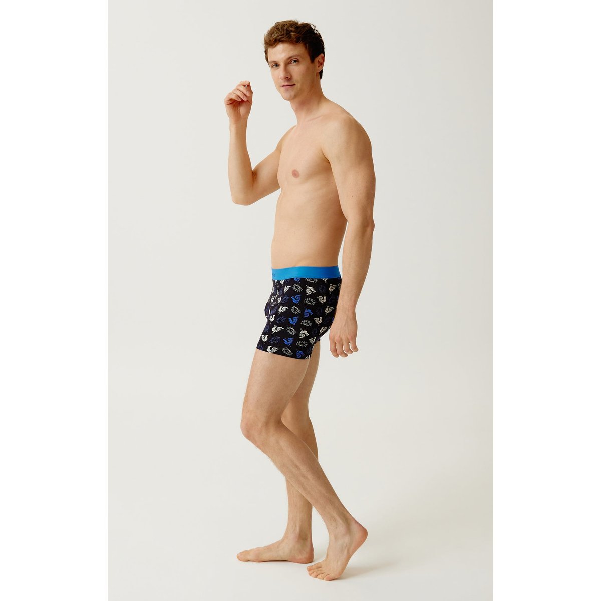Boxer en coton, imprimé coq noir, ARTHUR