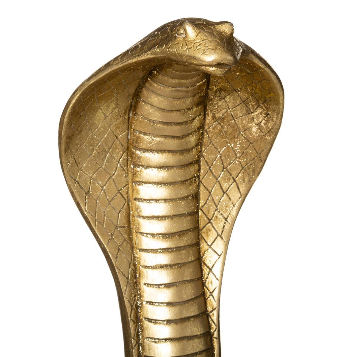Serpent cobra doré, ATMOSPHERA