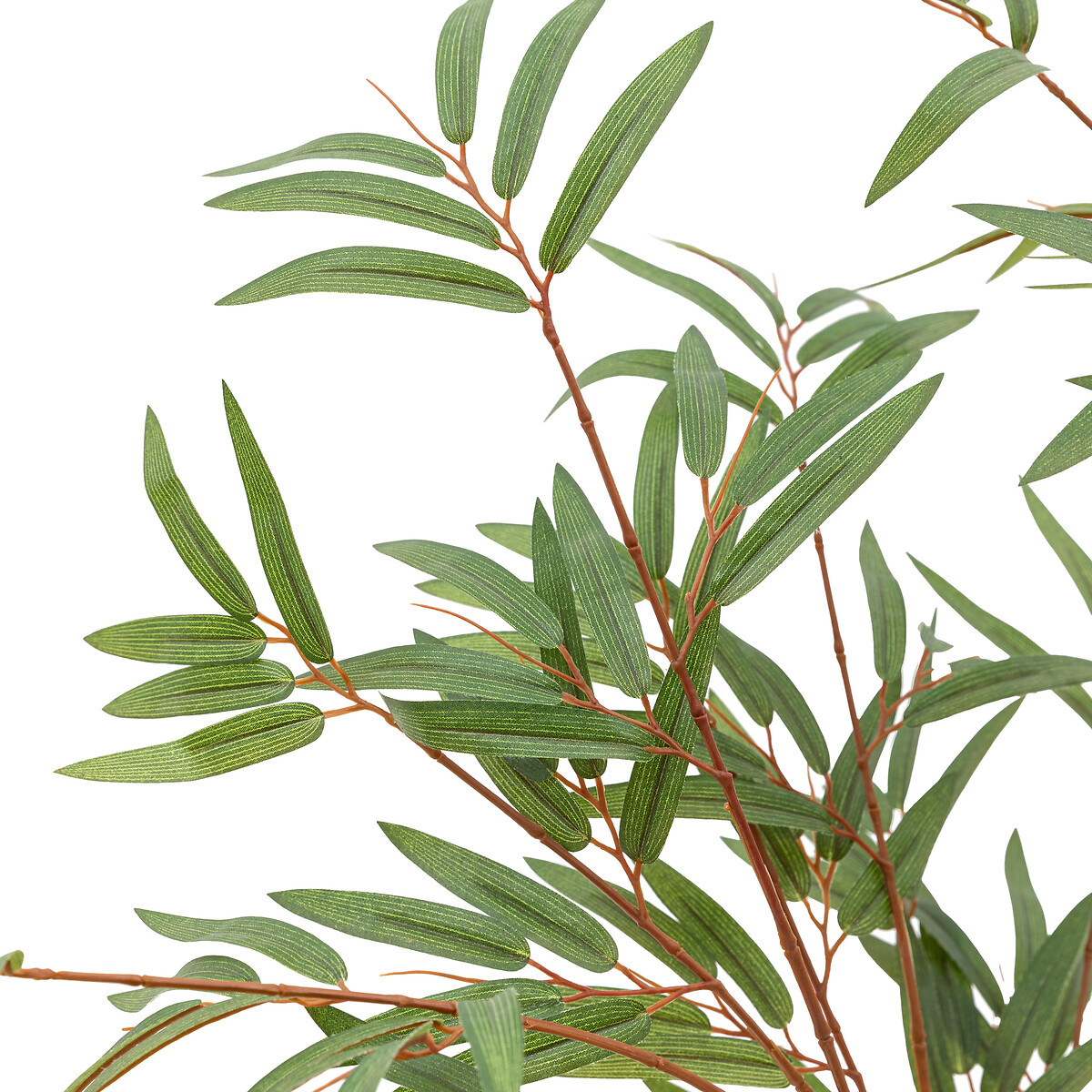 4ft Potted Bamboo Tree green, ÉDITÉ