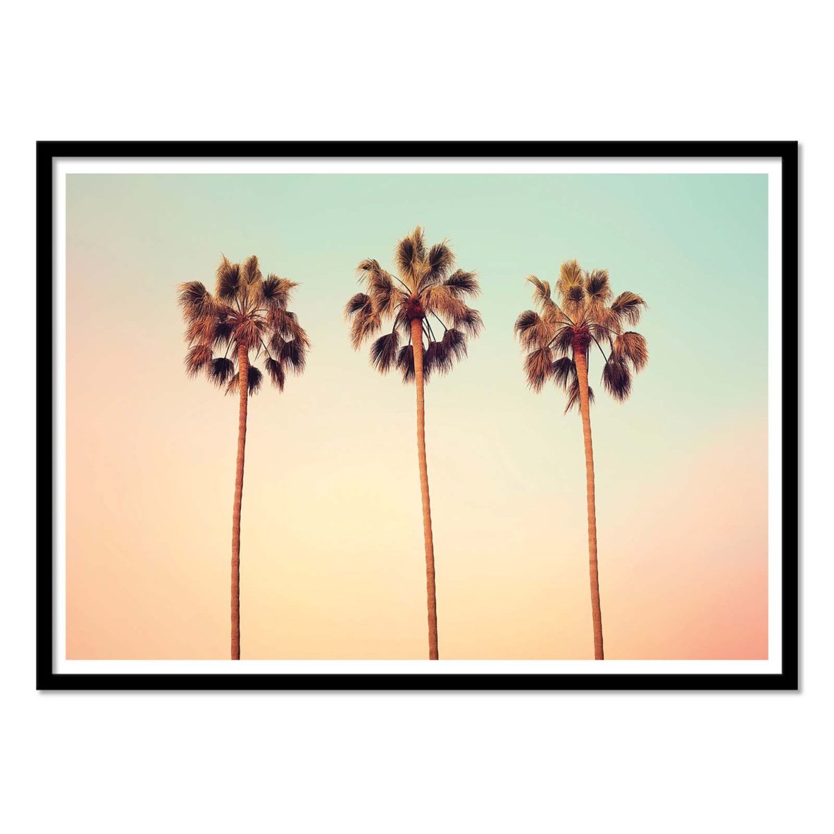 Affiche d'art - California Hollywood Palms - Philippe Hugonnard couleur unique, WALL EDITIONS