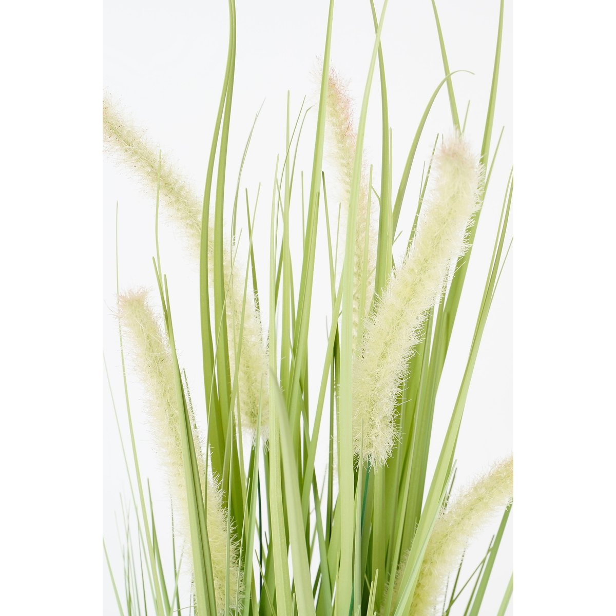 Plante artificielle DOGTAIL vert, MICA DECORATIONS