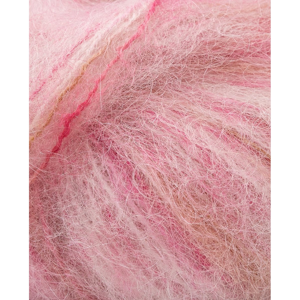 Phil Imperia rose, PHILDAR