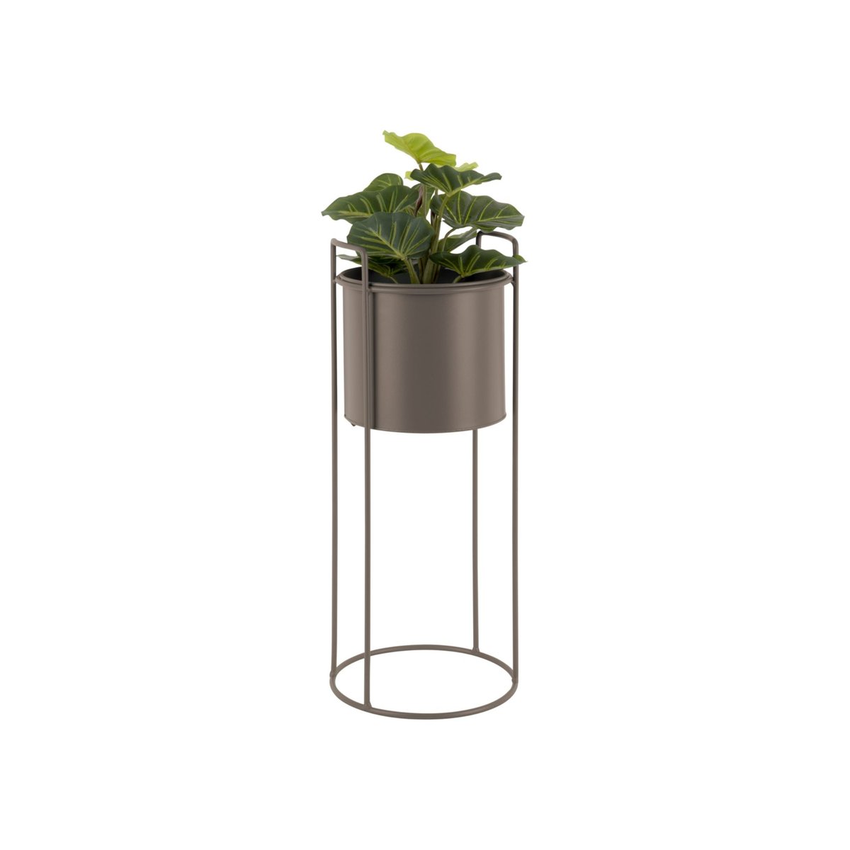 Pot De Fleurs Le fer ESSENCE gris foncé, PRESENT TIME