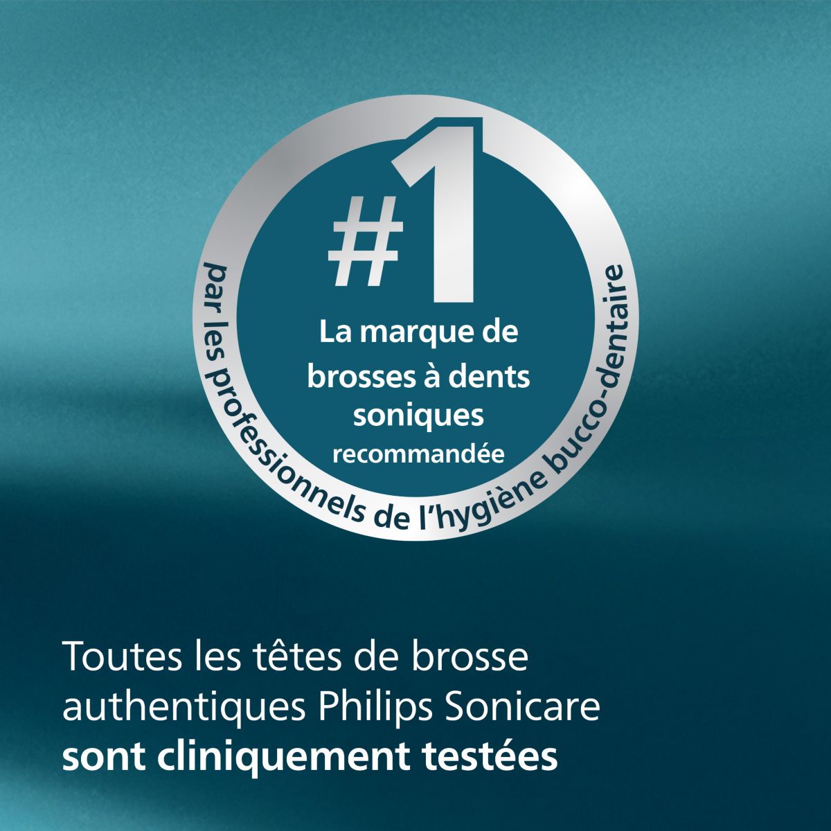 Brossette dentaire Sonicare lot de 6 InterCare blanc couleur unique, PHILIPS