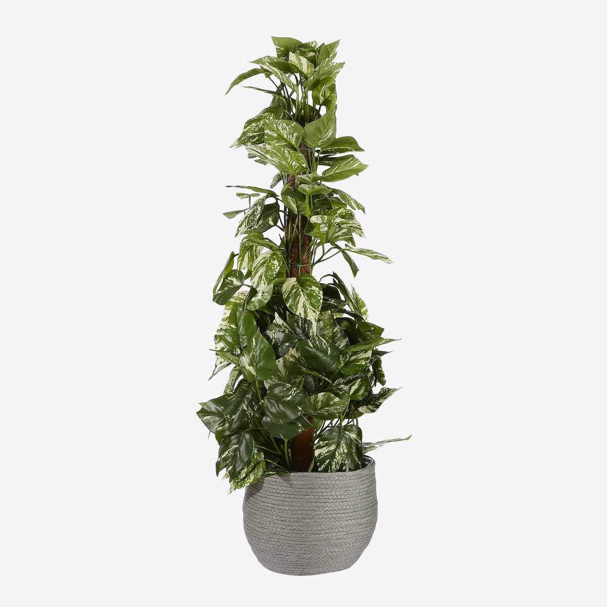 Ensemble de 3 paniers à plantes Ø26 cm JORCK gris, MICA DECORATIONS