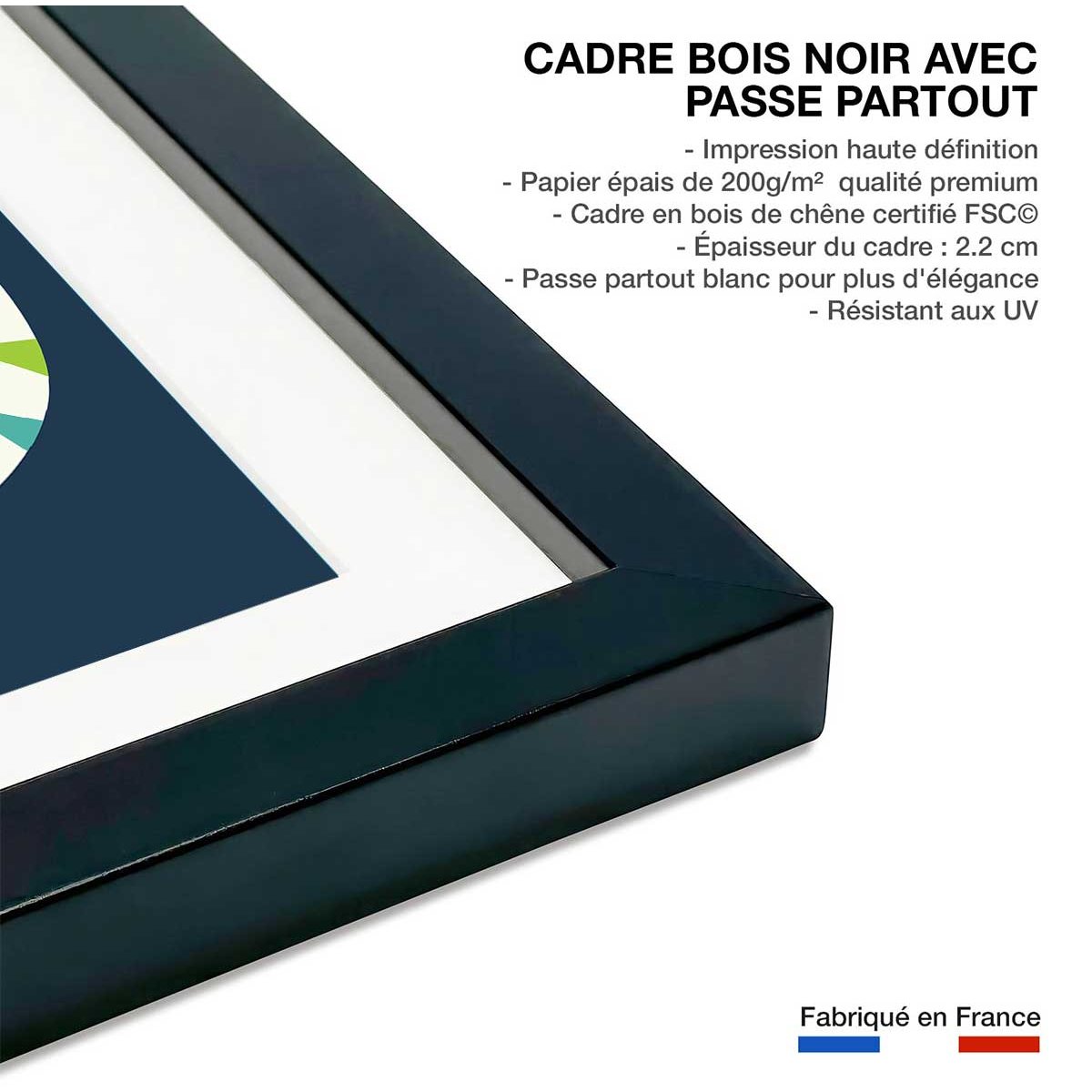 Affiche tigre en arc en ciel affiche + cadre en bois - noir, HEXOA