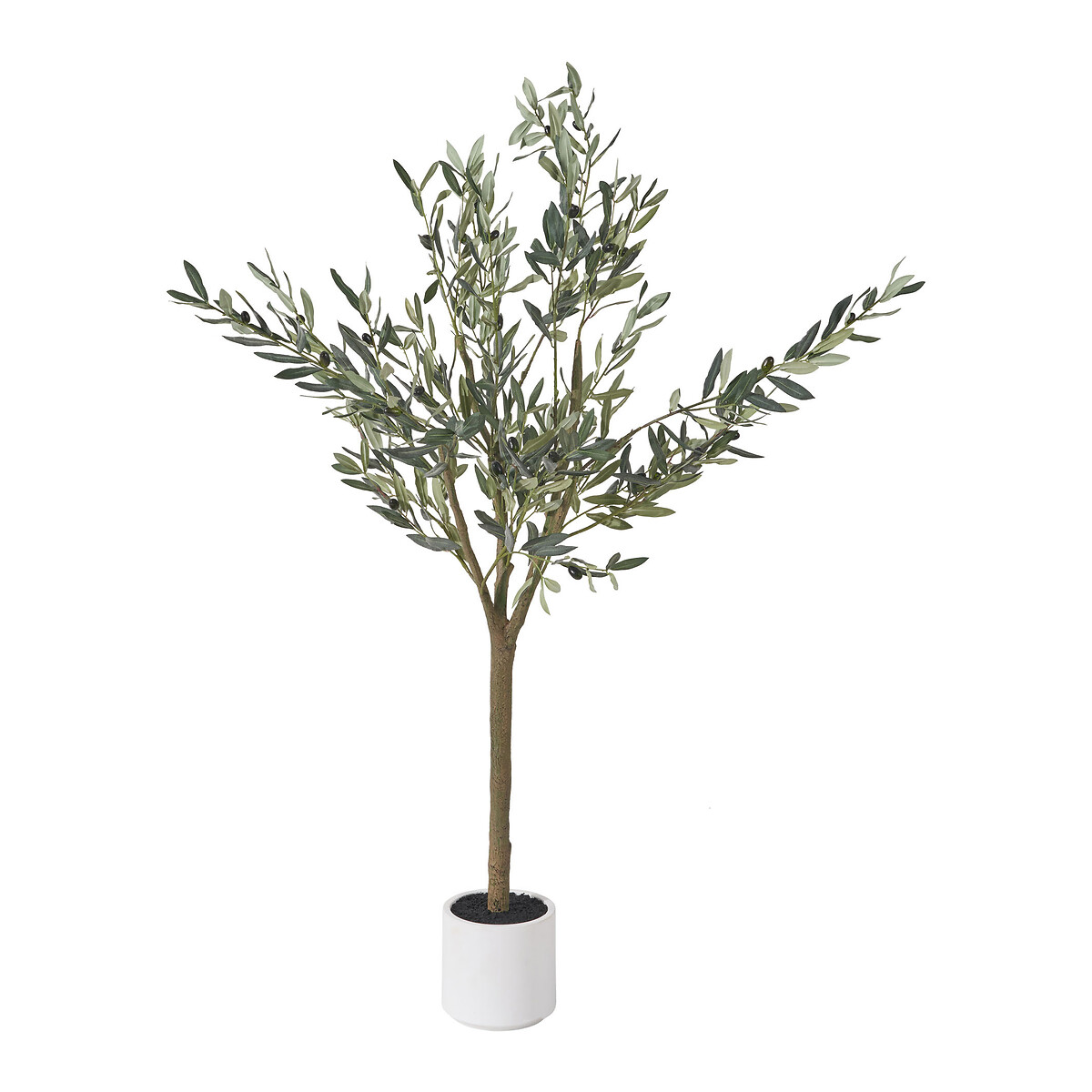 150cm Olive Tree in Pot green, SO'HOME