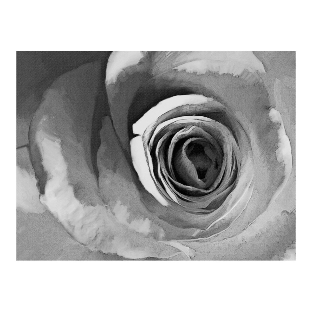 Papier peint intissé panoramique Fleurs Paper rose noir, EDEN