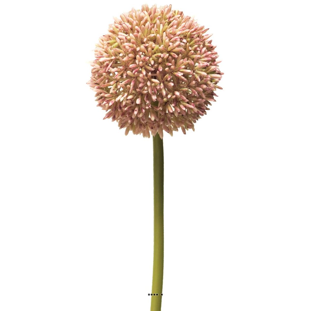 Allium artificiel en tige, spécia rose, ARTIFICIELLES