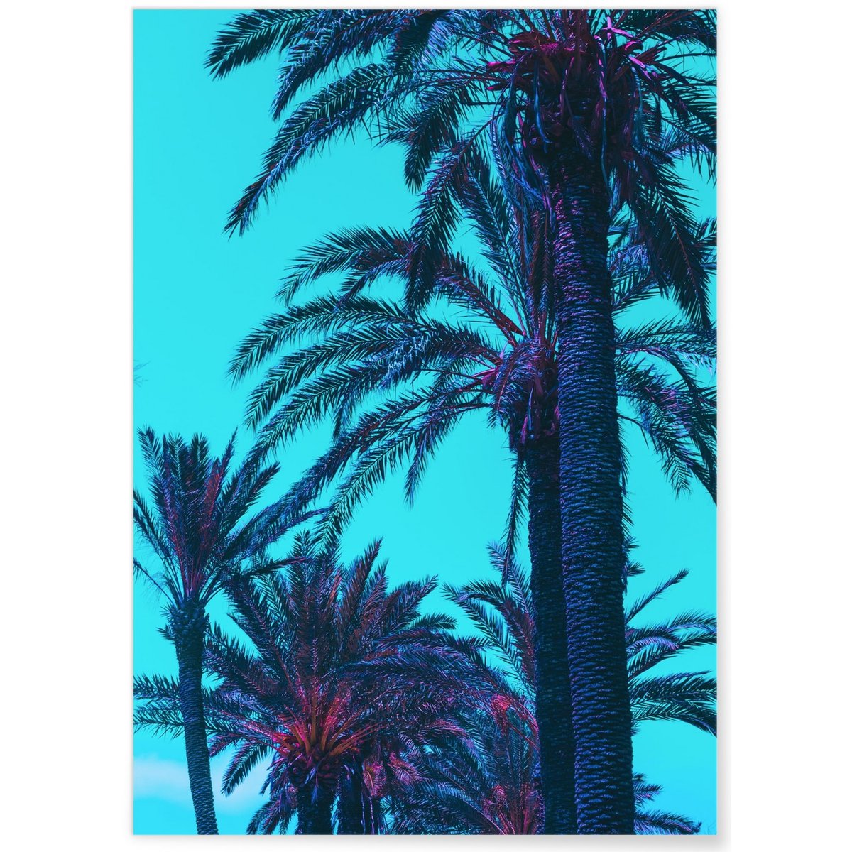 Poster Palm Trees blanc, L'AFFICHERIE