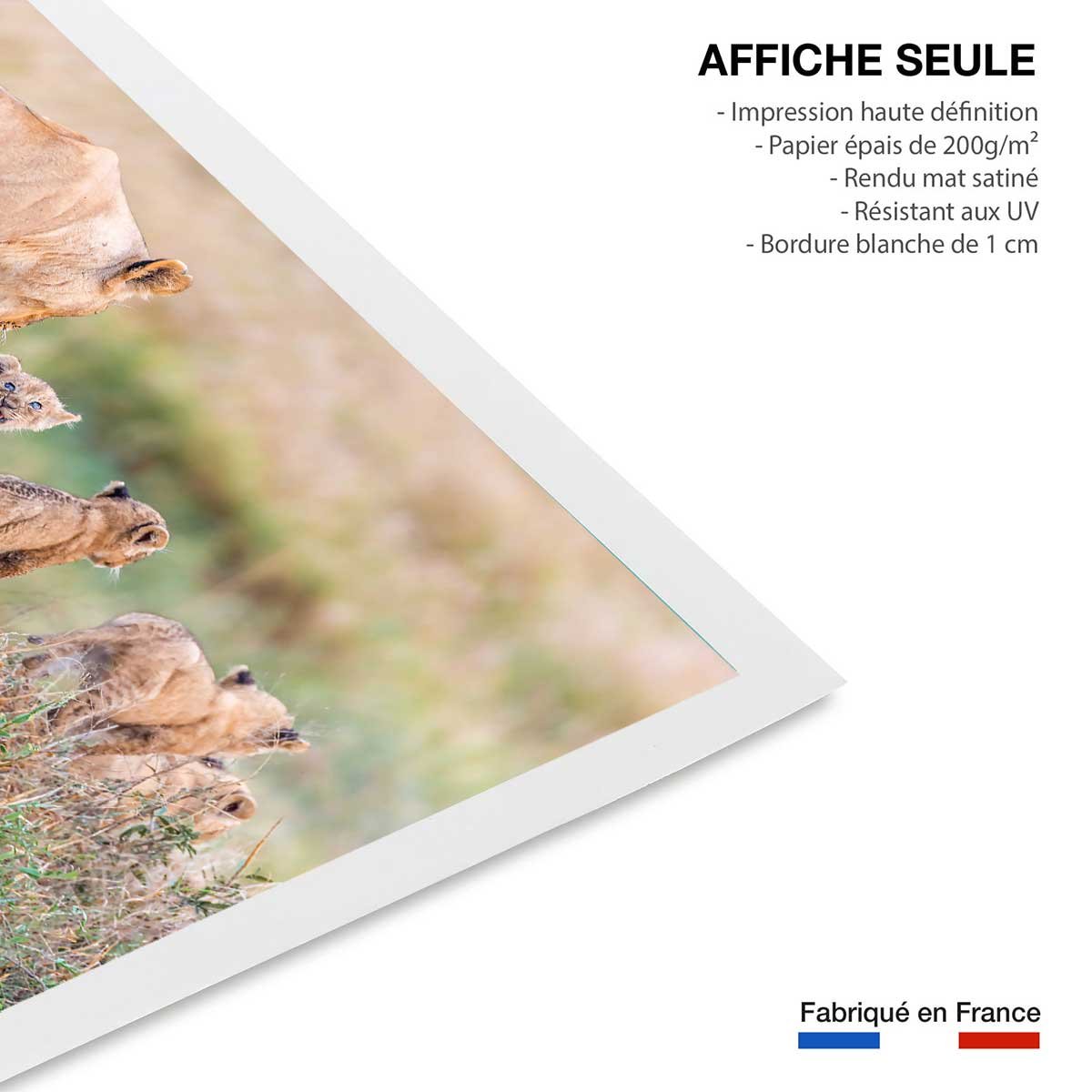 Affiche animaux let's go mom affiche seule, HEXOA