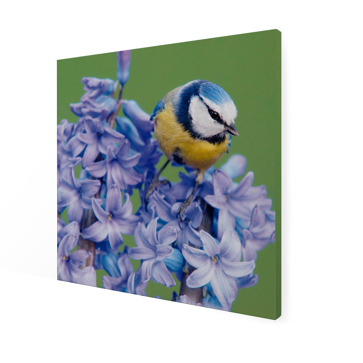 Tableau de jardin Oiseau et lilas violet, vert, ART FOR THE HOME