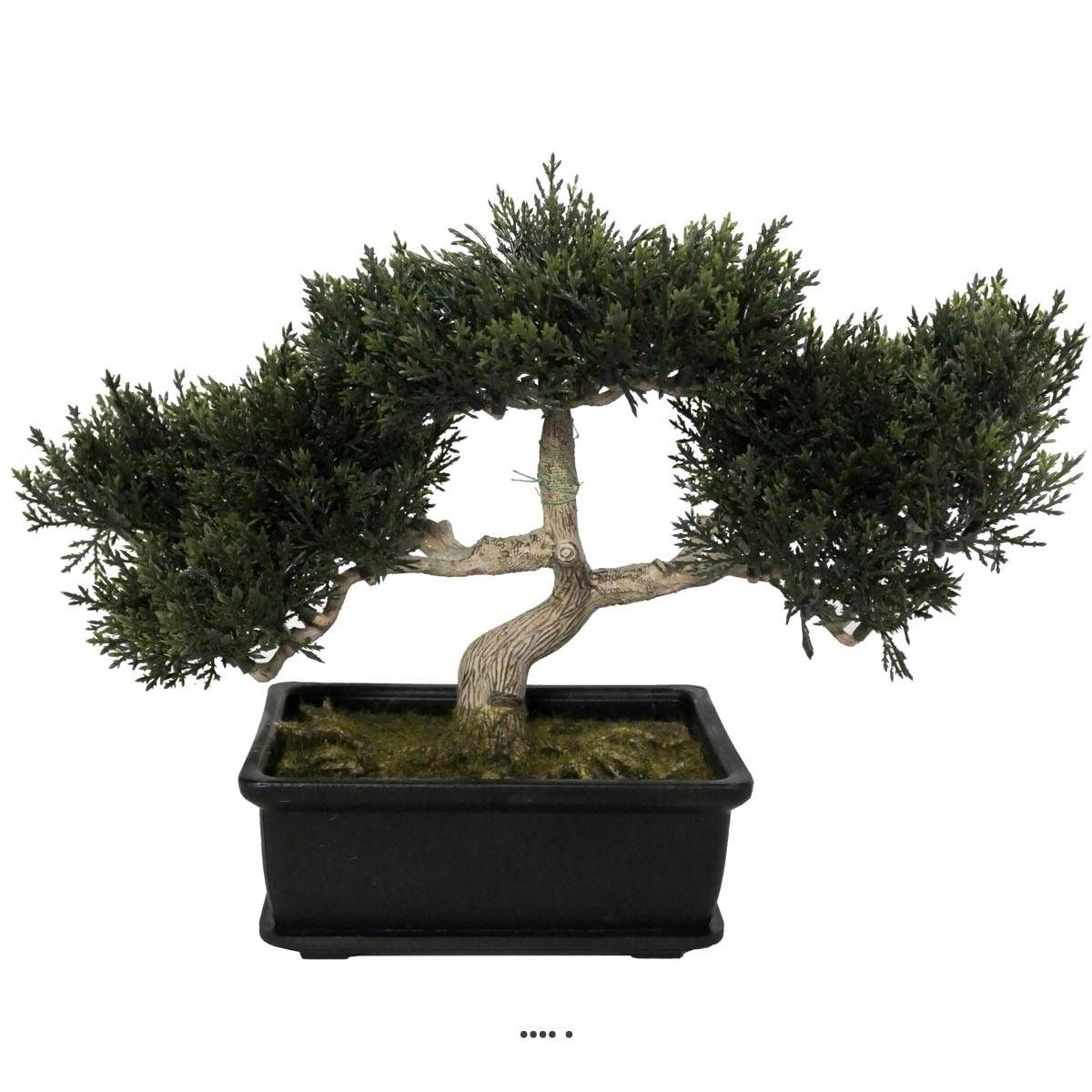 Bonsai artificiel Cedre H 23 cm 113 feuilles v002239, ARTIFICIELLES