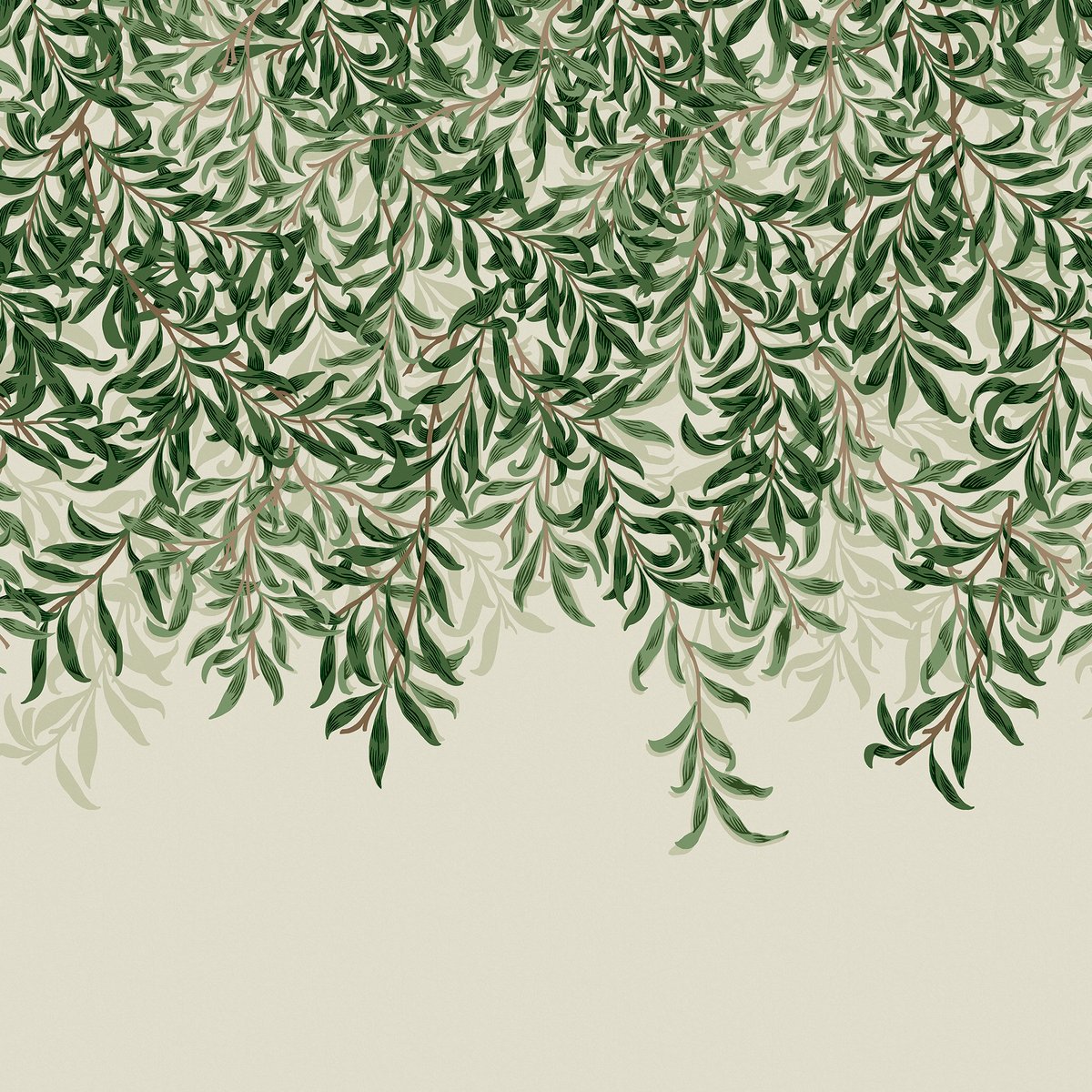 Papier peint panoramique Feuillage de saule un matin de printemps vert, crème, WILLIAM MORRIS AT HOME