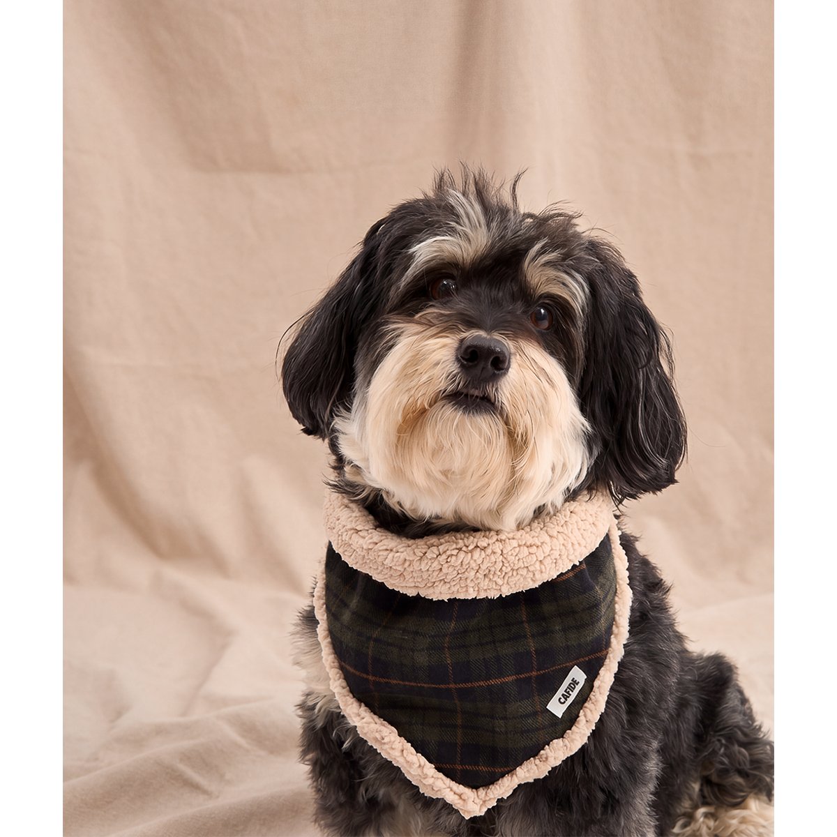 Bandana tartan vert pour chien, Nata vert, CAFIDE