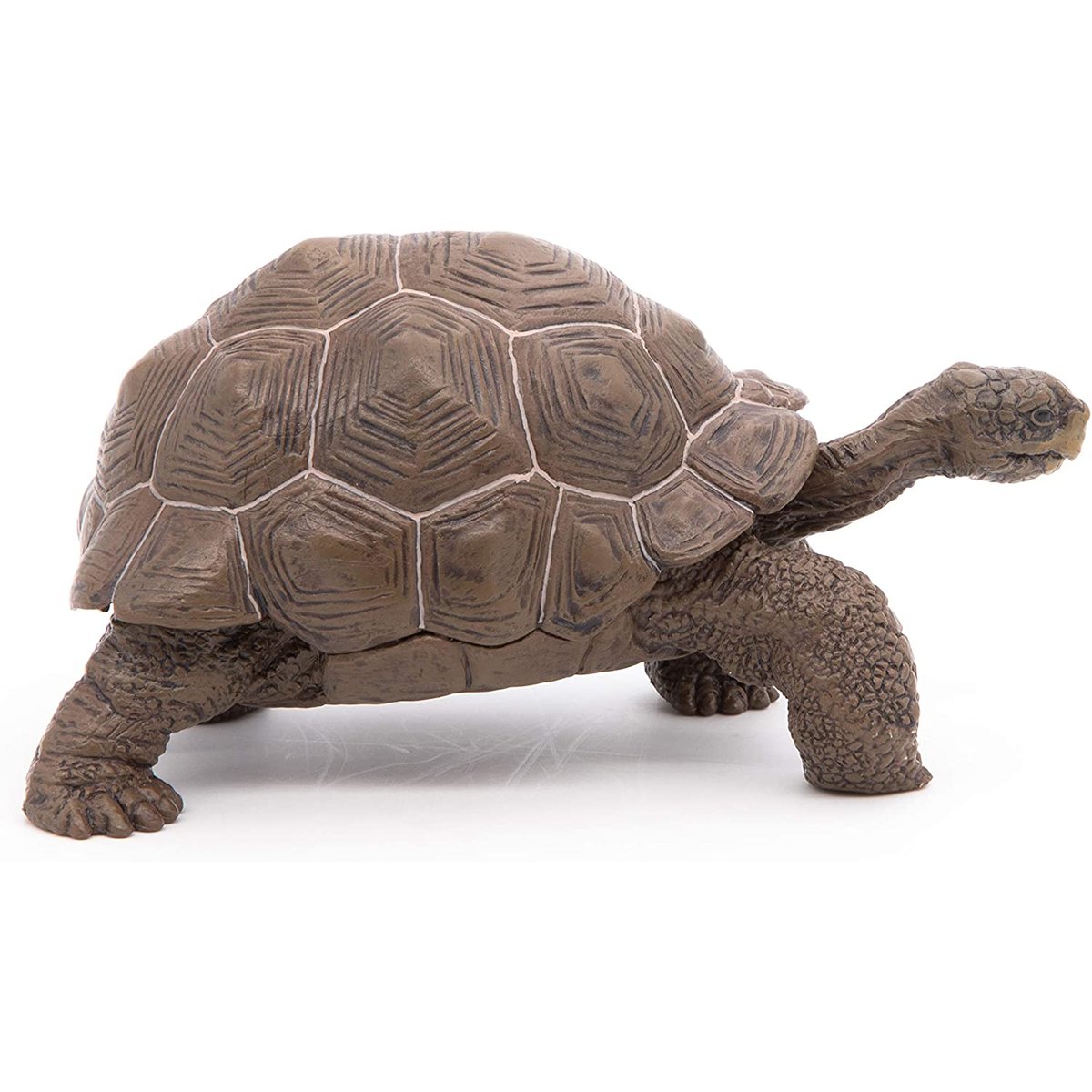 Figurine Tortue des galapagos marron, PAPO
