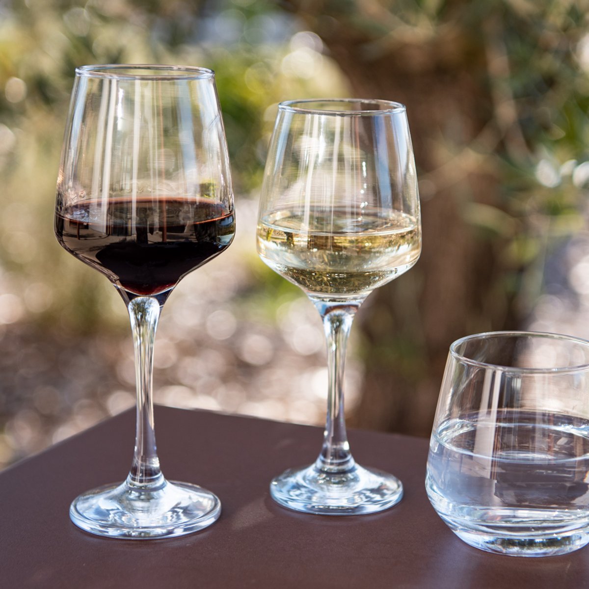 Boîte de 6 verres à pied Cépages 29,5 cl transparent / cristal, TREND'UP