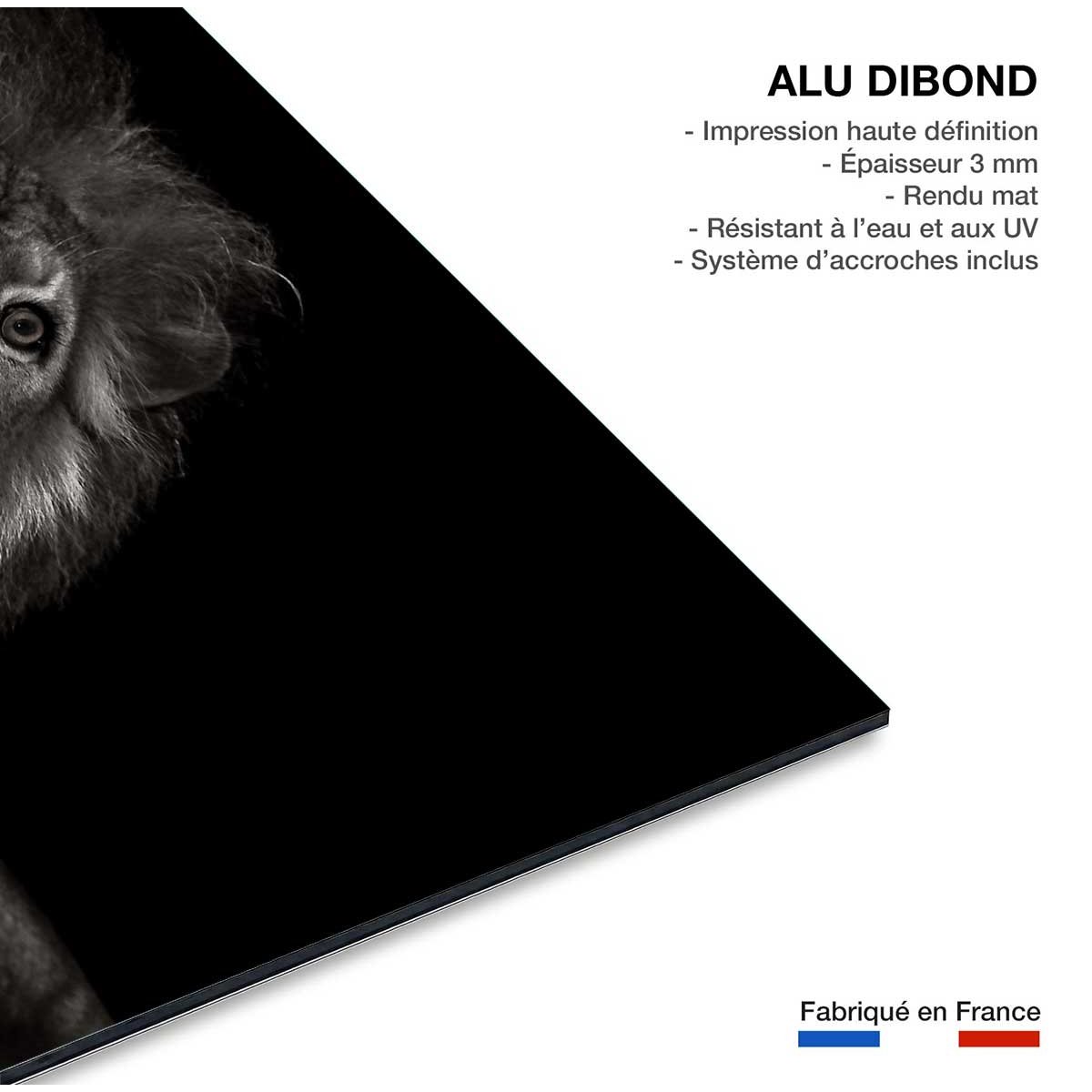 Tableau majestueux roi des animaux tableau alu dibond, HEXOA