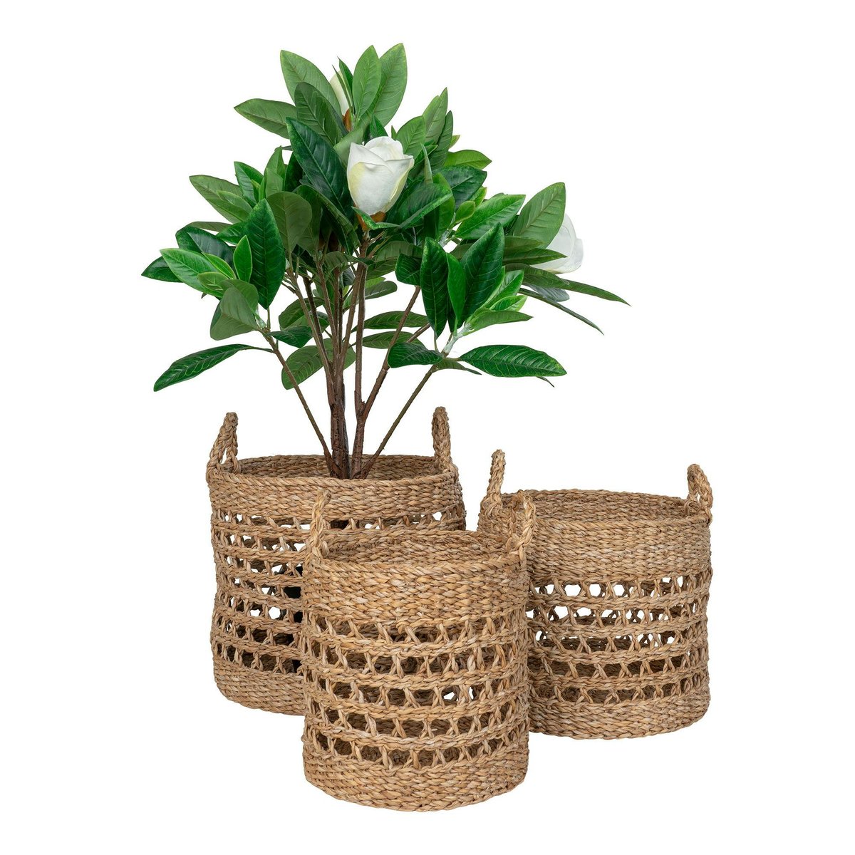 Panier cache-pot rond avec poignées, tressage ajouré (lot de 3) beige, PIER IMPORT
