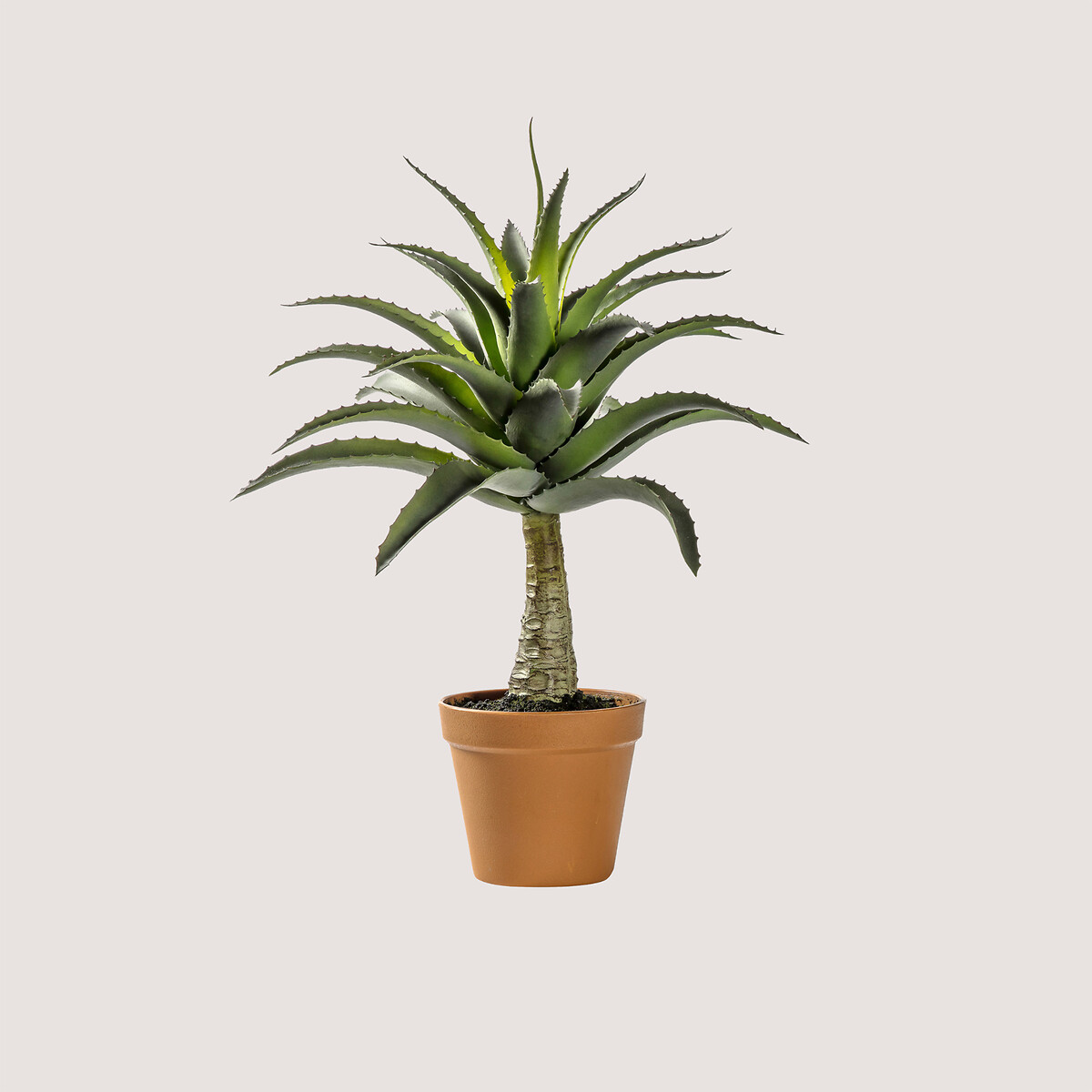 57cm Artificial Potted Agave green, ÉDITÉ