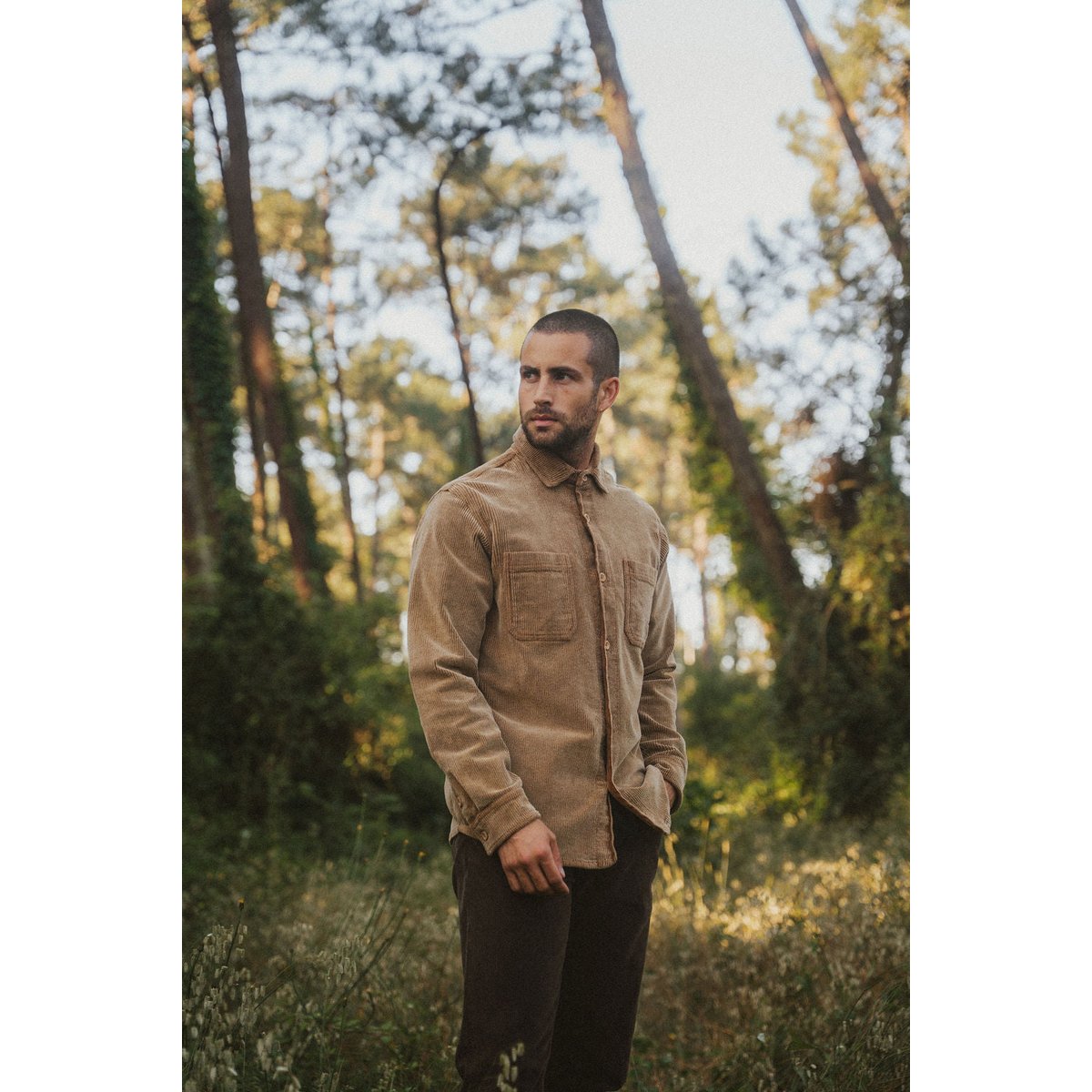 SURCHEMISE ROYBROWN marron, PULLIN
