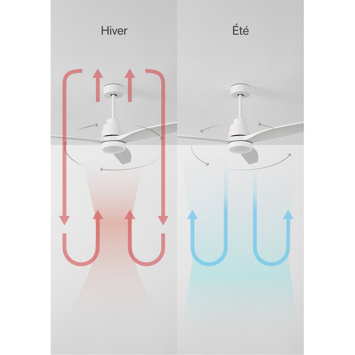 Ventilateur de plafond 40W avec lumière et télécommande WIND STYLANCE NATURAL WOOD blanc/blanc, CREATE
