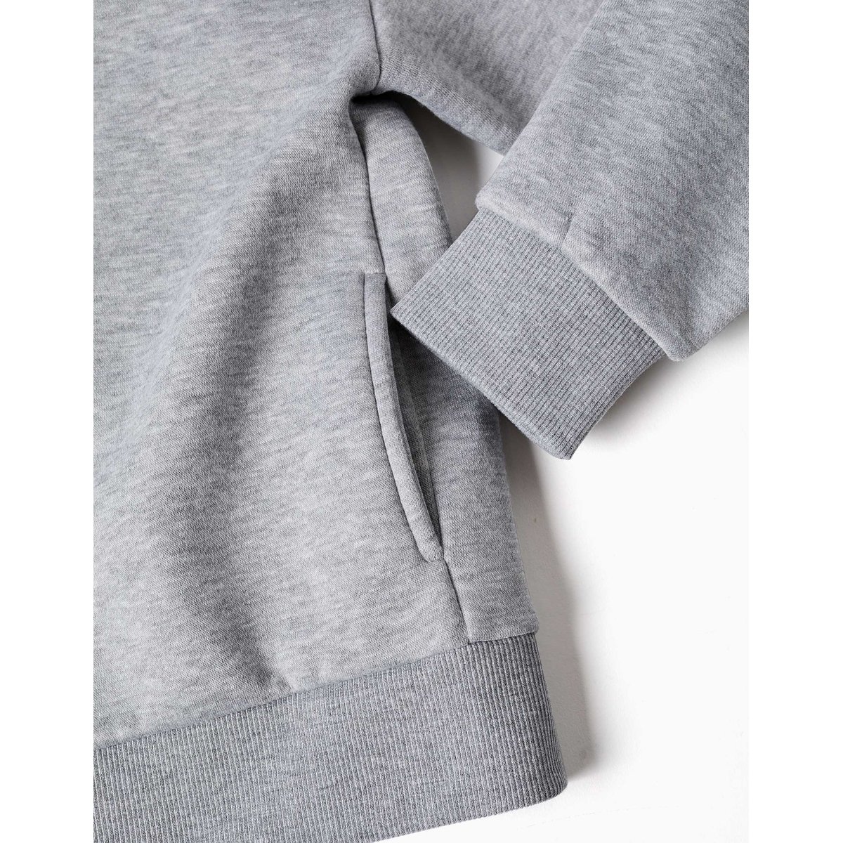 Sweat zippé en molleton avec capuche et doublure en coton peigné gris, ZIPPY