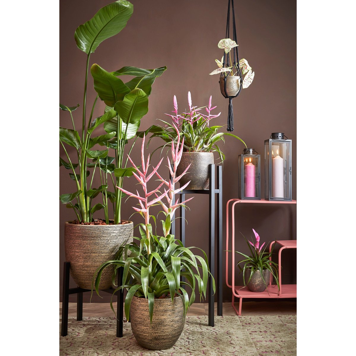 Support pour plantes H40 cm ASCOT XL noir, MICA DECORATIONS
