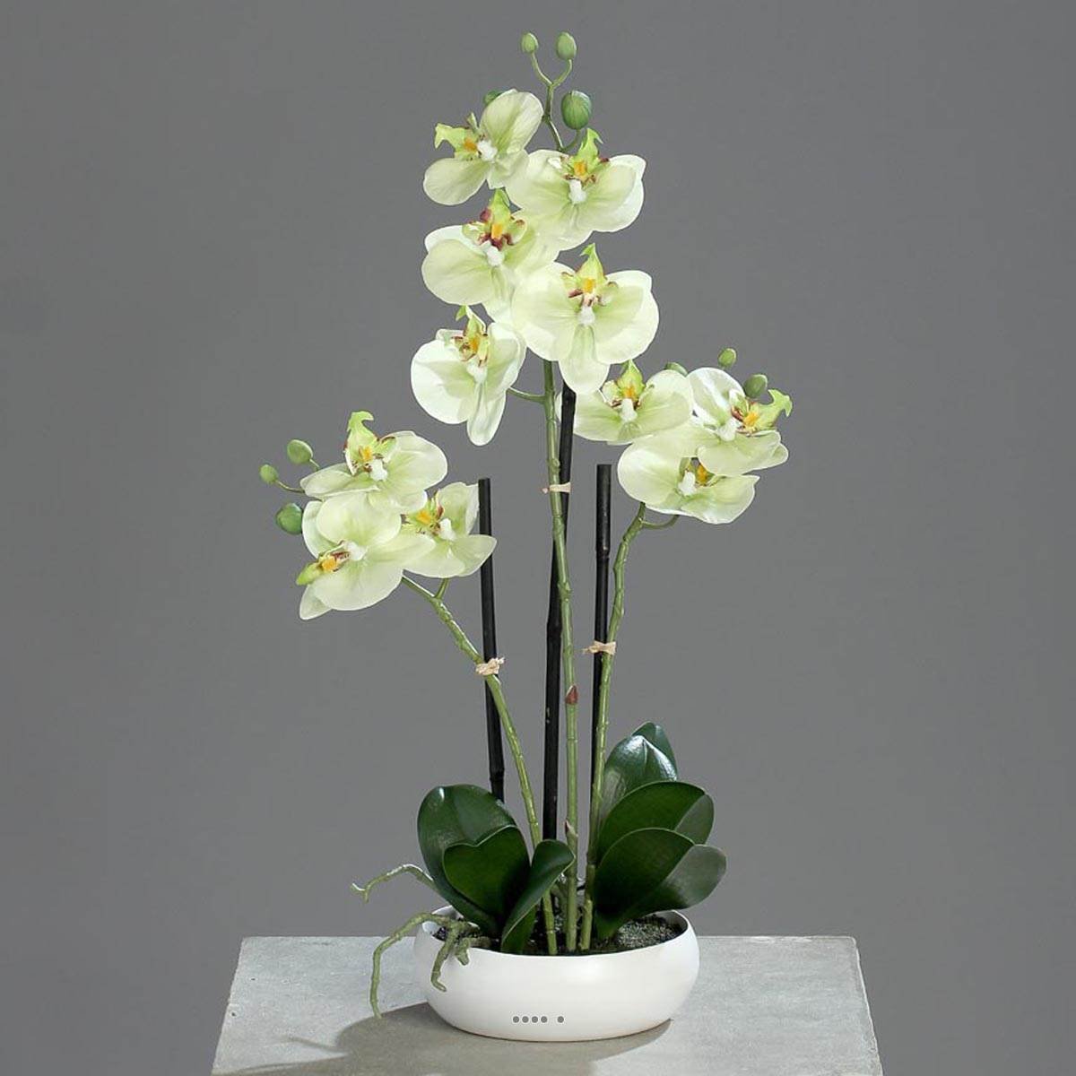 Orchidée factice 3 hampes coupe céramique H45 crème vert, ARTIFICIELLES