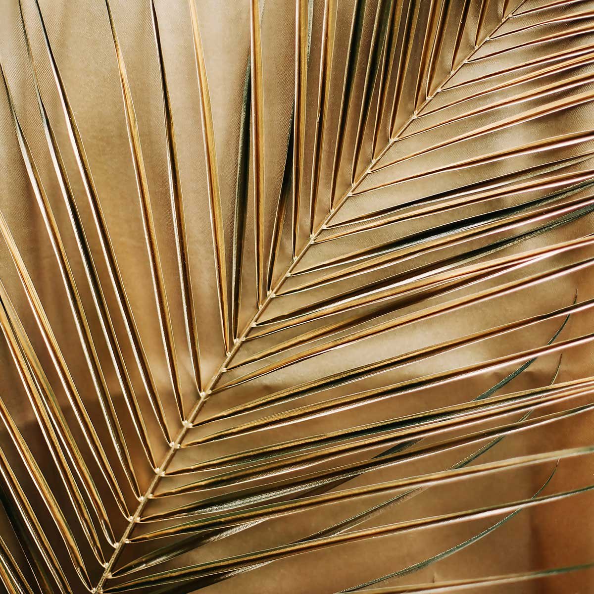 Affiche déco golden palm affiche + cadre en bois - noir, HEXOA