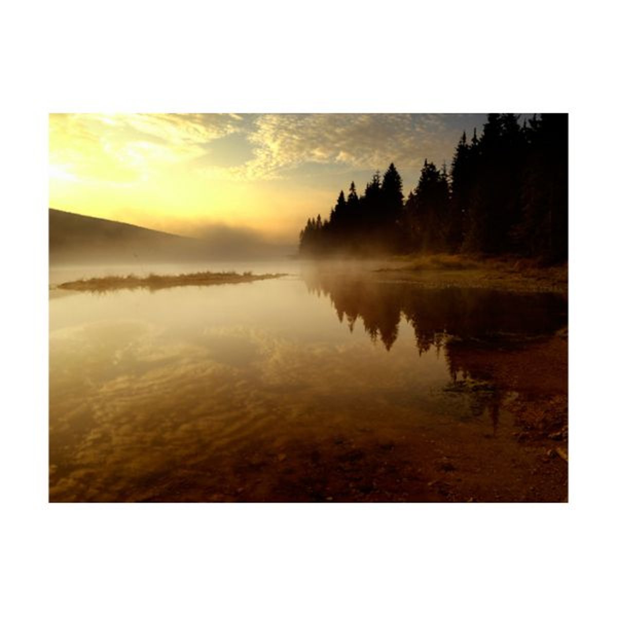 Papier peint intissé panoramique Paysage Forêt et lac multicouleur, EDEN