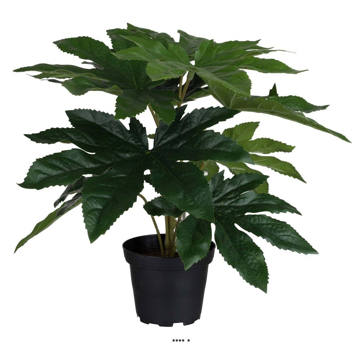Aralia du Japon artificiel en pot, H 25 cm v002239, ARTIFICIELLES