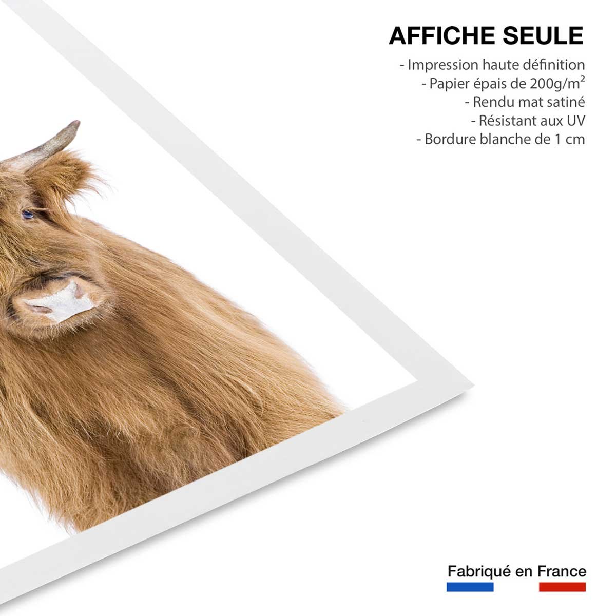 Affiche enfant bébé vache affiche seule, HEXOA
