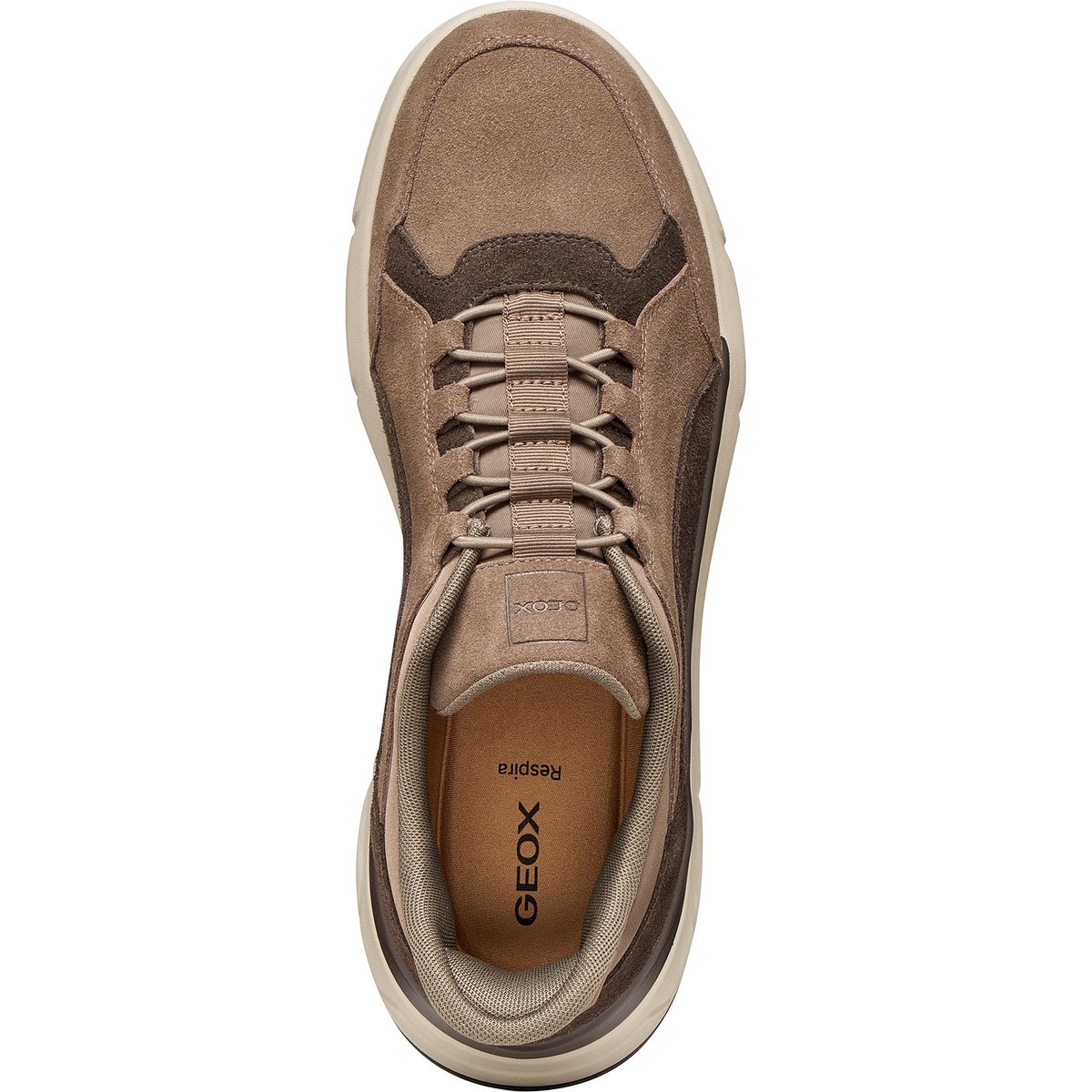 Baskets U VITTOUR PLUS taupe/marron, GEOX