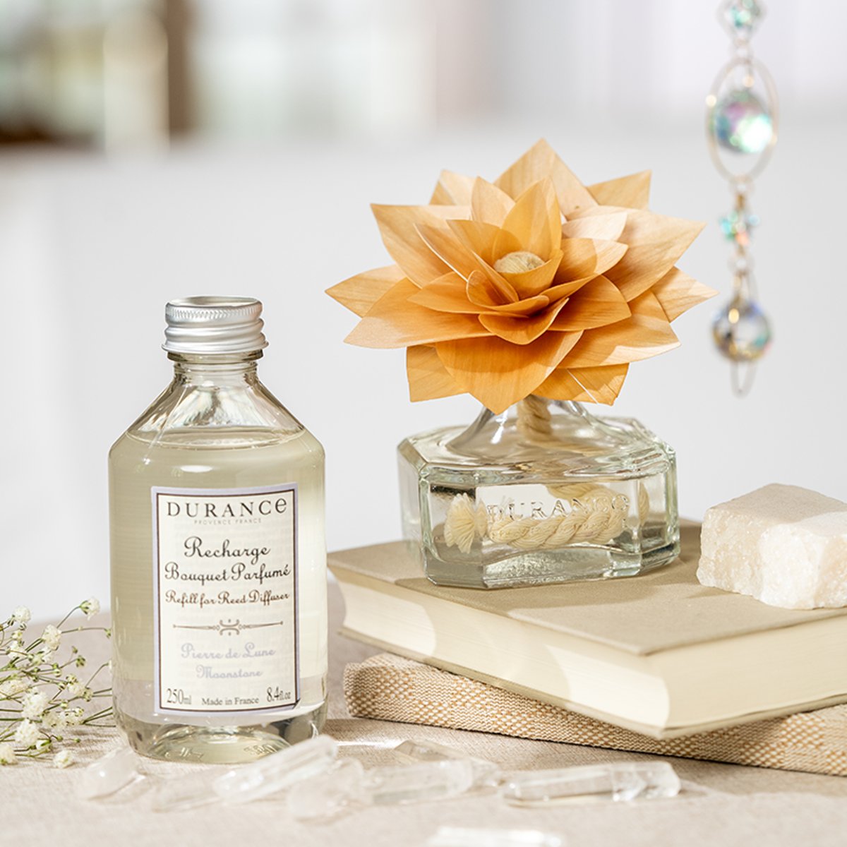 Fleur parfumée PIERRE DE LUNE couleur unique, DURANCE