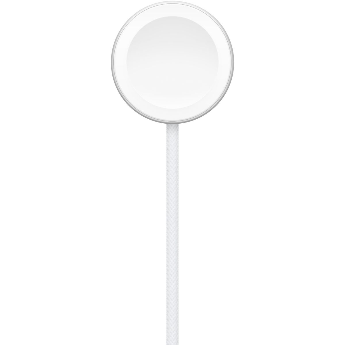 Chargeur induction magnétique Apple Watch vers USB-C 1M couleur unique, APPLE