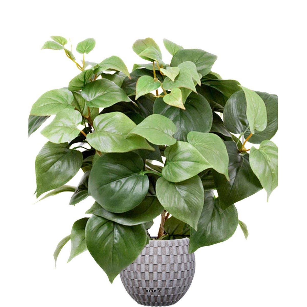 Philodendron artificiel en pot H 35 cm v002239, ARTIFICIELLES
