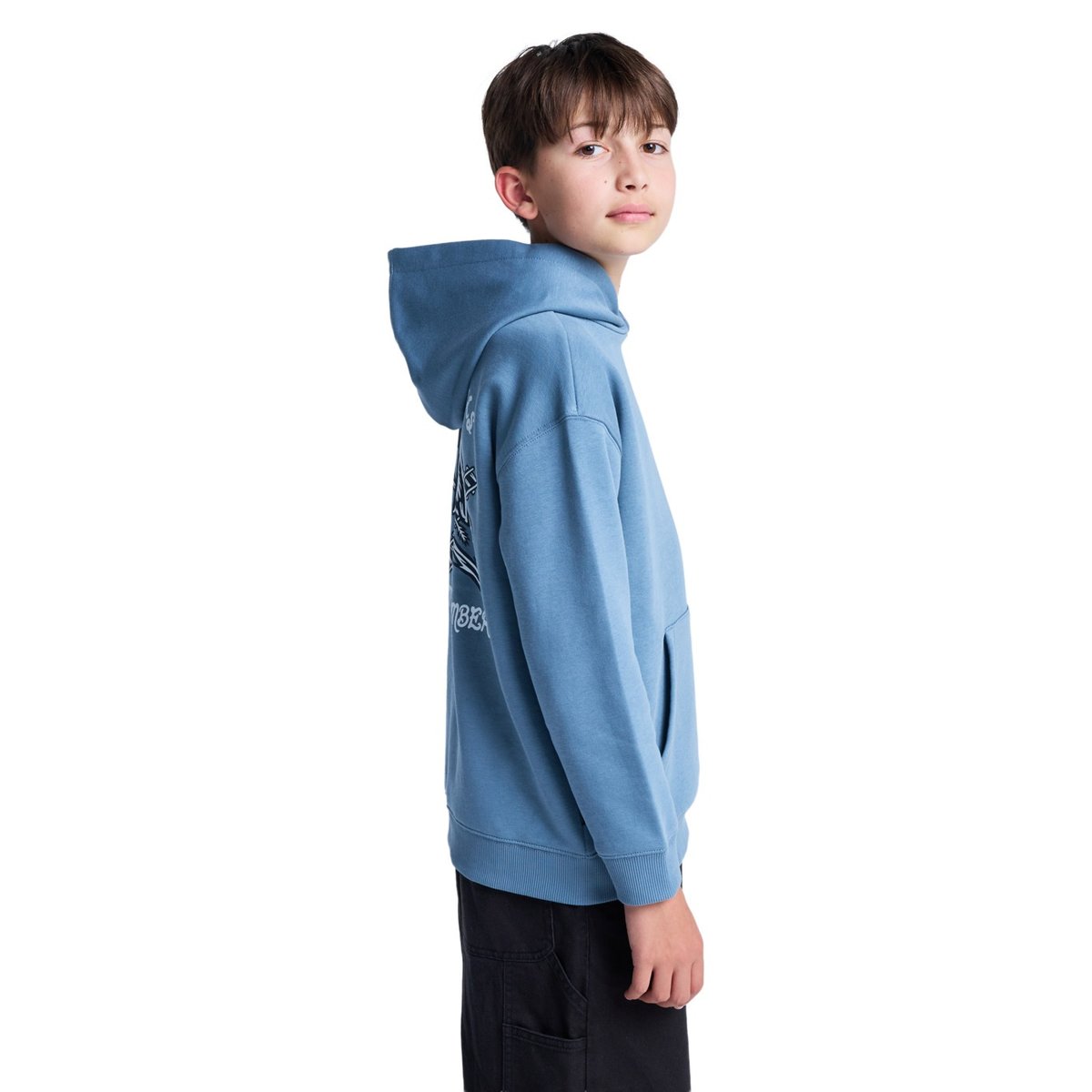 Sweat à capuche TIMBER HOBOS PO Y bleu blue mirage, ELEMENT
