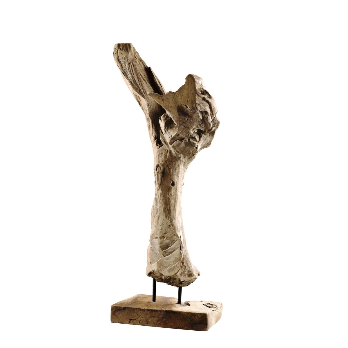 Racine de teck décorative POLO bois naturel, PIER IMPORT