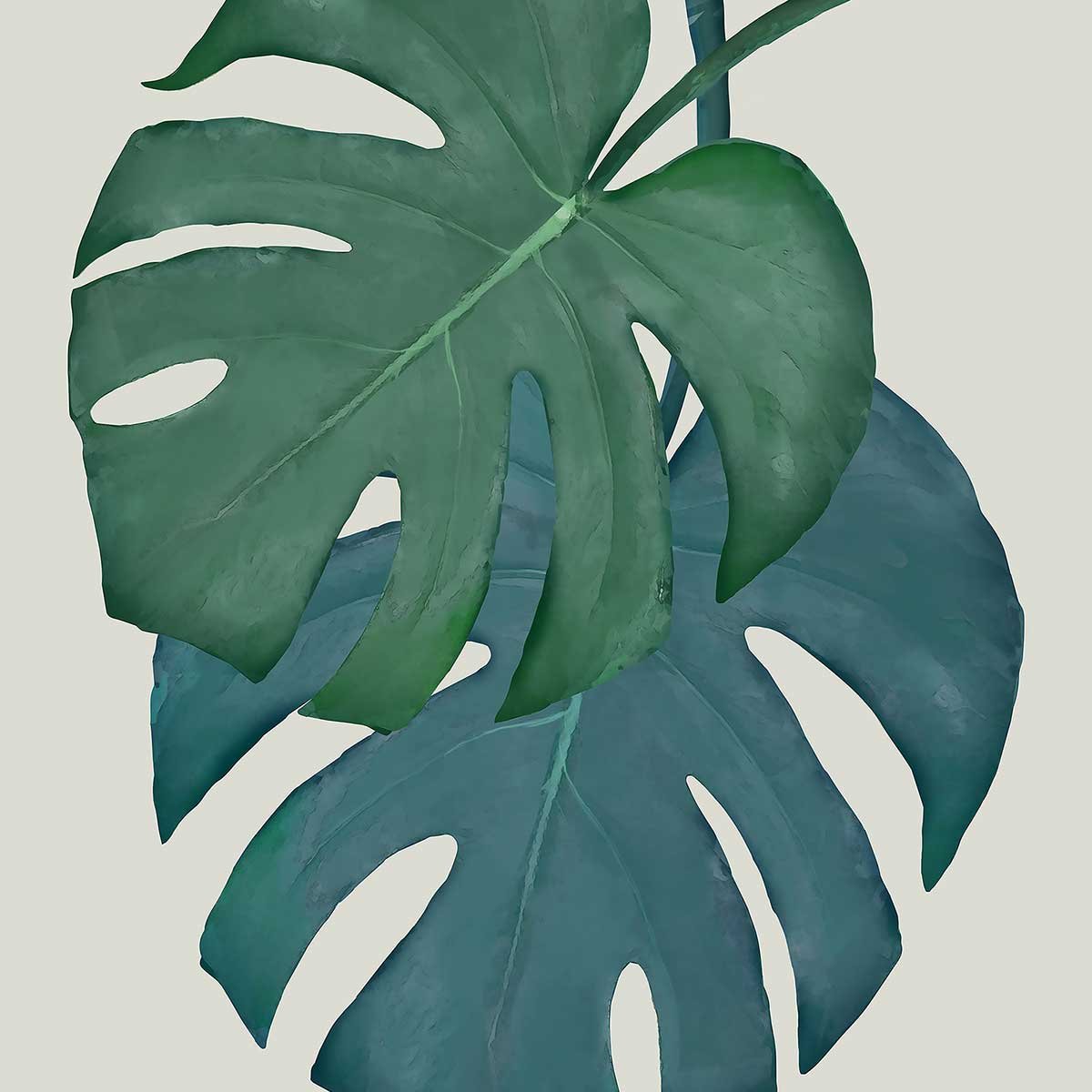 Tableau Monstera turquoise tableau alu dibond, HEXOA