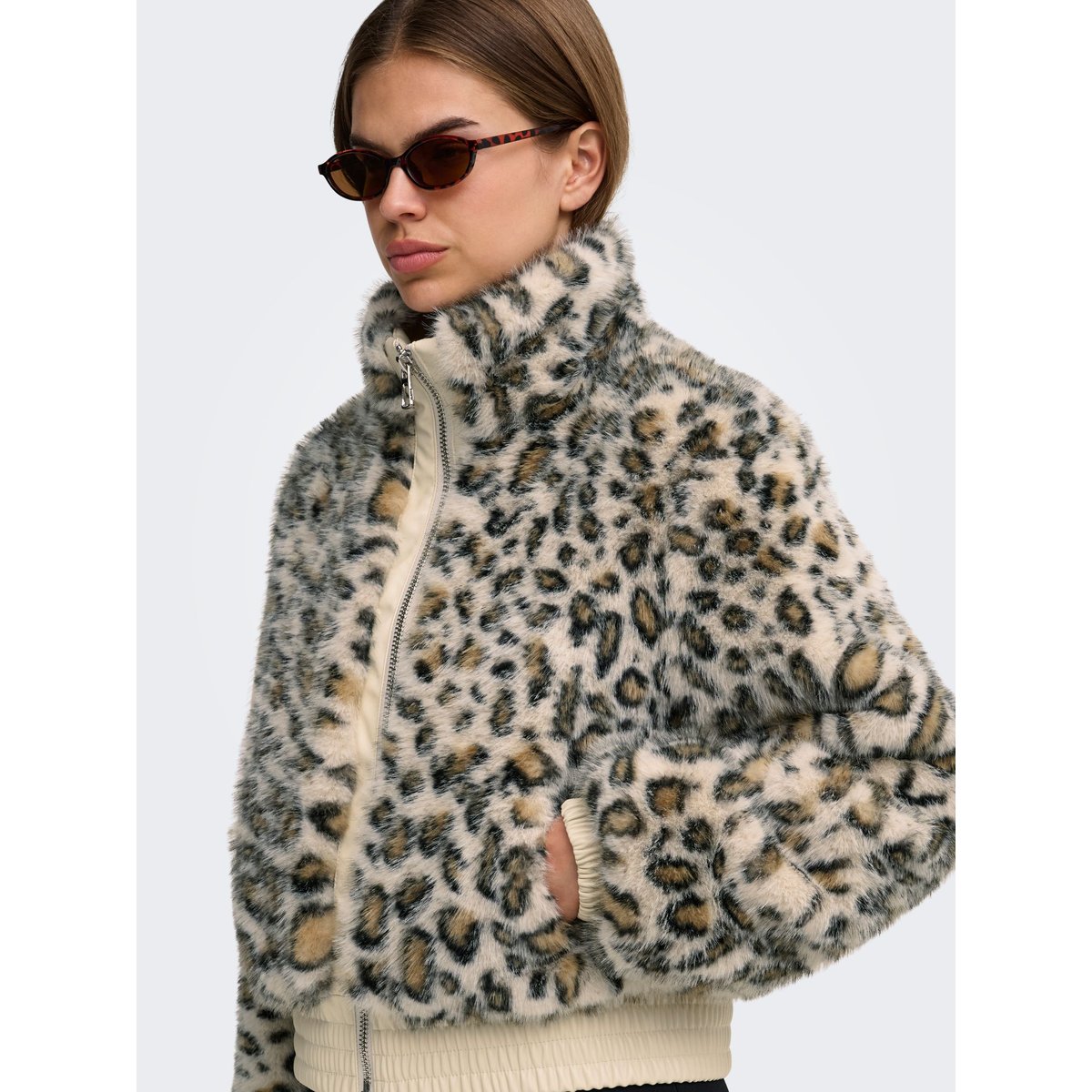 Veste island fossil, ONLY