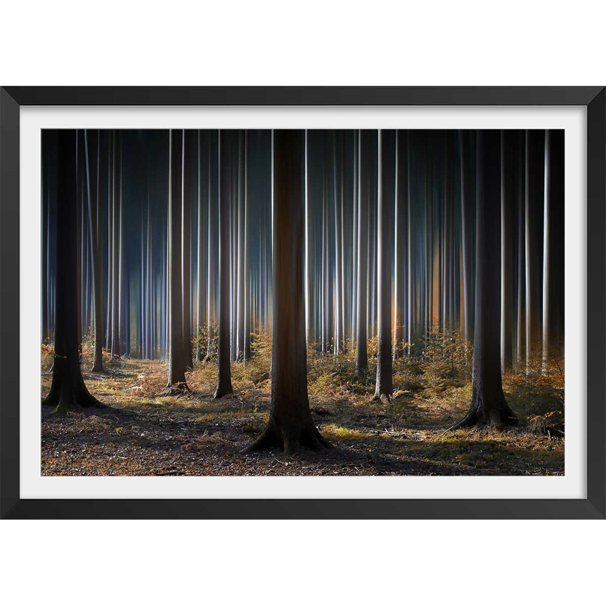 Affiche paysage forêt fantastique affiche + cadre en bois - noir, HEXOA
