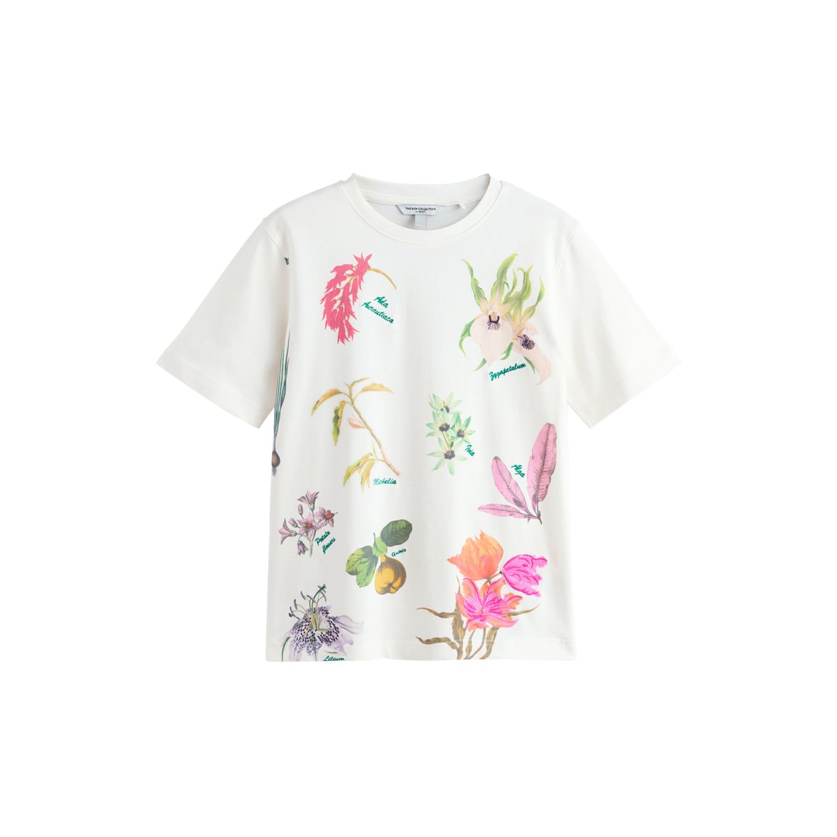 T-shirt manches courtes et motif kew gardens blanc, NEXT