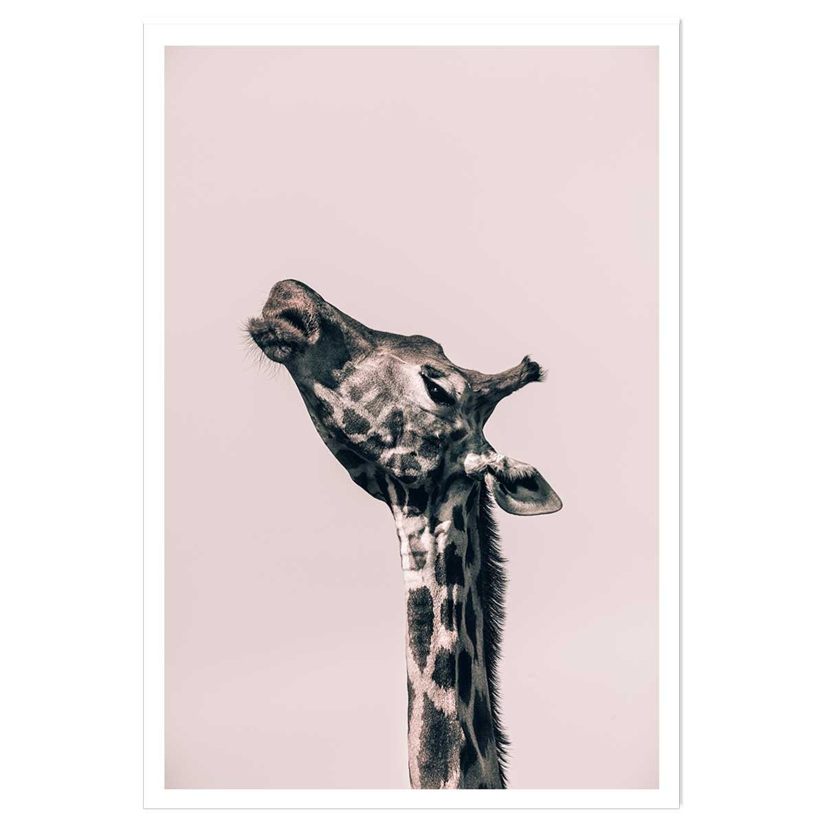 Affiche girafe ma reine affiche seule, HEXOA