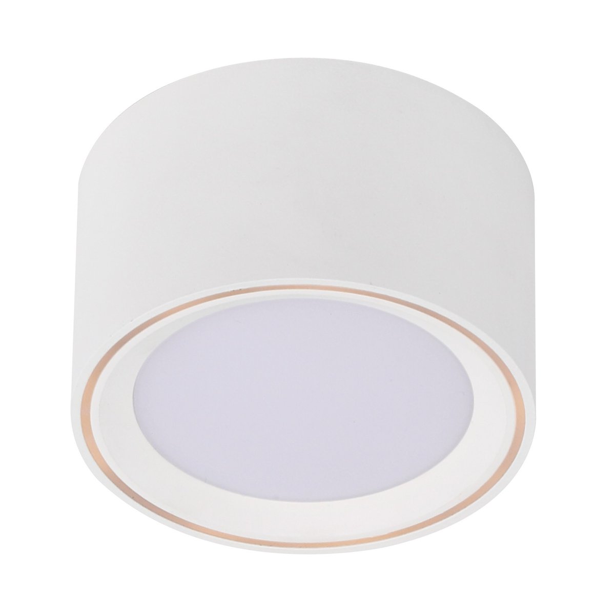 Spot LED pour plafond - gradation Moodmaker™ cylindrique en métal, FALLON blanc, NORDLUX