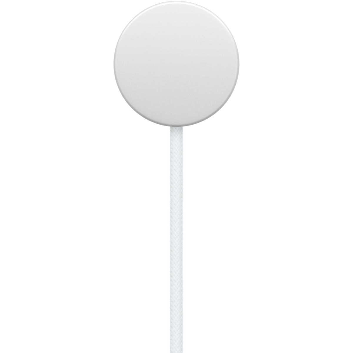Chargeur induction magnétique Apple Watch vers USB-C 1M couleur unique, APPLE